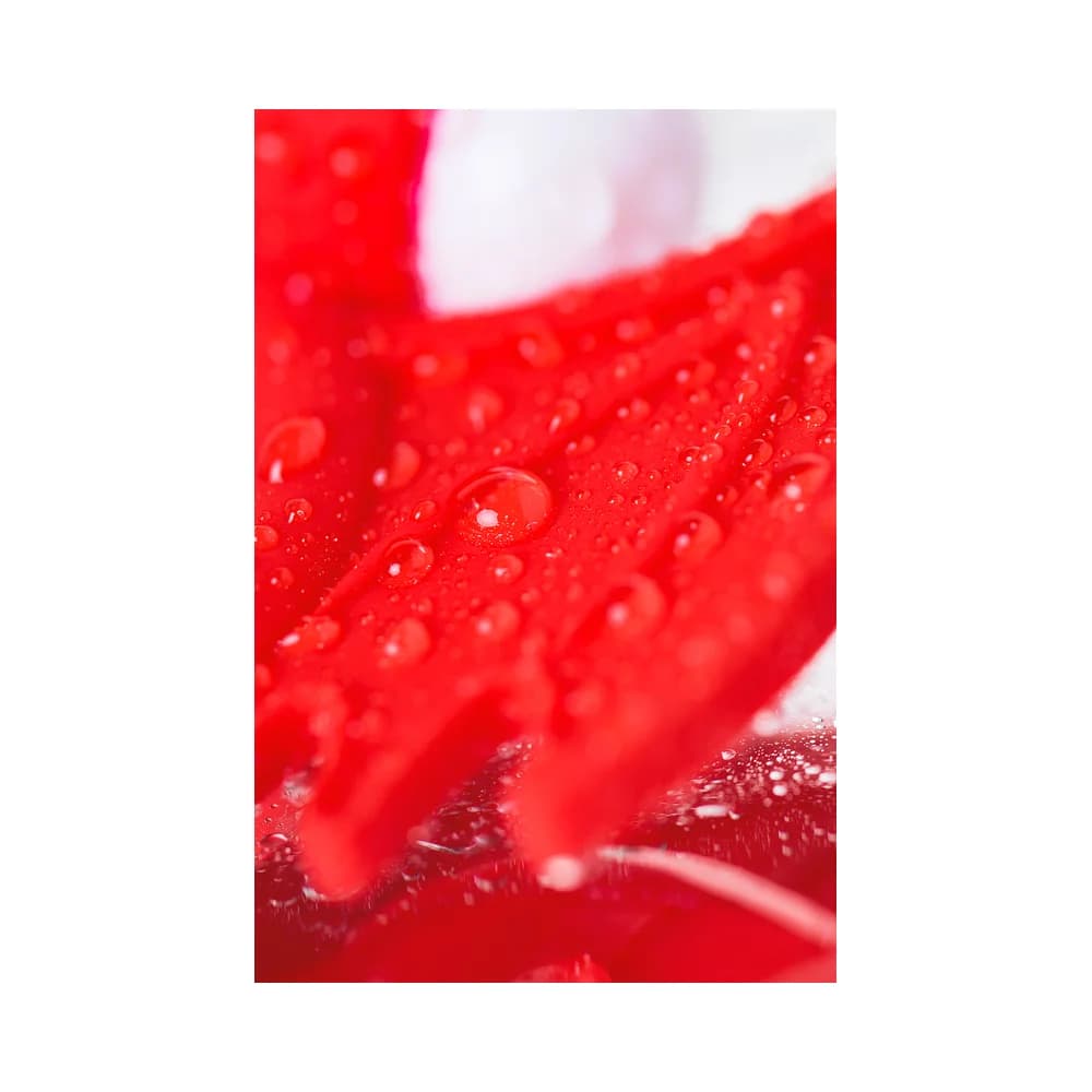 Jos Sweet Devil Titreşimli ve Klitoral Uyarıcılı Kırmızı Silikon Penis Halkası 8.5 cm thumbnail 10