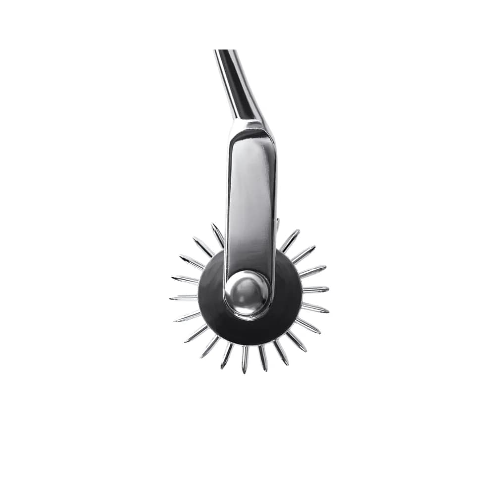 Metal by TOYFA Wartenberg Metal Tekerlekli Duyu Analiz Aleti Gümüş 18.5 cm thumbnail 6